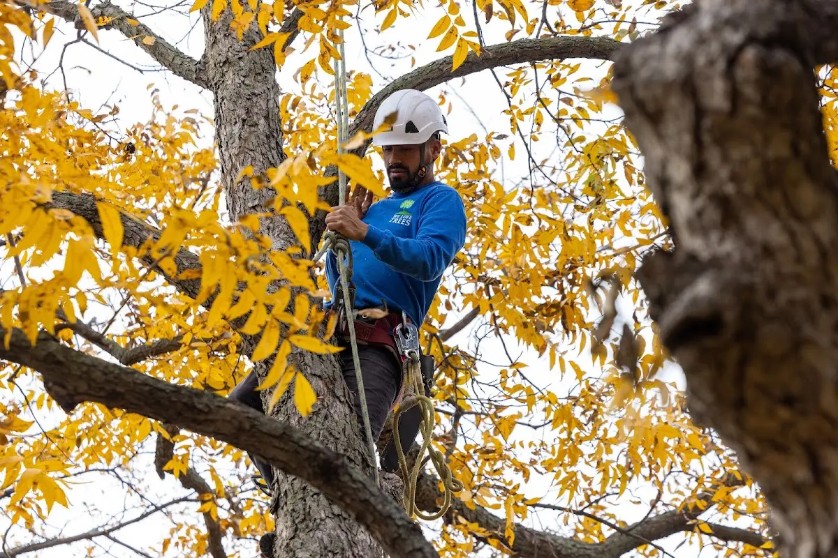 Skilled Storm Damage Cleanup crew working in Battle Creek